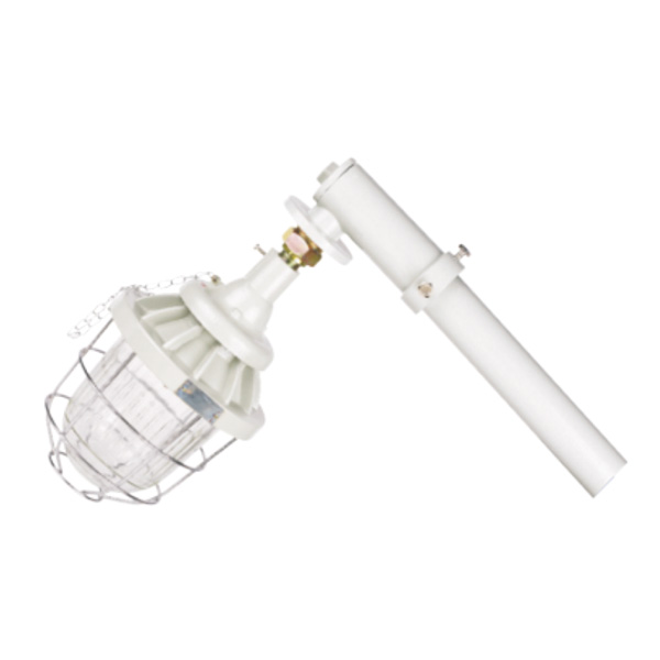 DCM 系列防爆馬路燈(ⅡB、ⅡC、e)